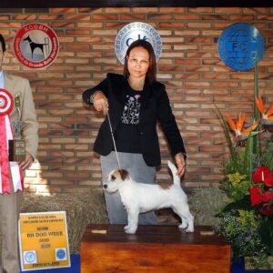 kcgbh-jrt8